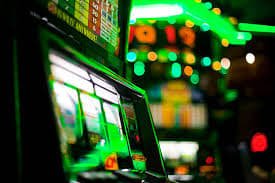 wild bet 6z