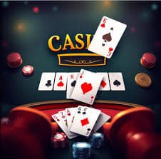 wild bet 6z
